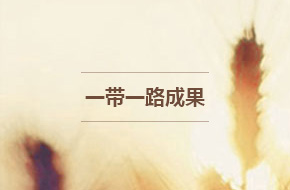 一带一路成果