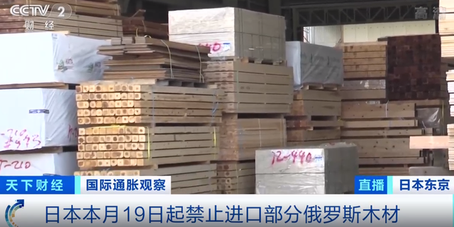 【木材资讯】日本将禁止进口部分俄罗斯木材！每月或将有1.7万栋新建住宅受影响